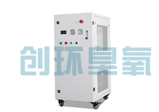 南充石斑鱼养殖水质调控完整指南：臭氧发生器配置与操作步骤