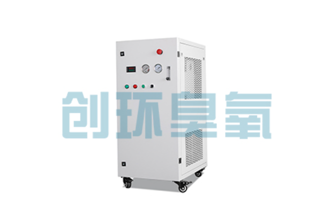 南充比传统换水更高效？臭氧发生器在石斑鱼养殖中的水质净化原理解析